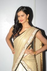 Shubra Ayyappa at Prathinidhi Audio Launch